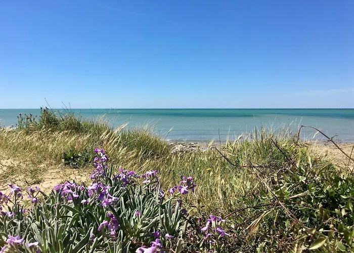 Les Naiades Maison d'hôtes Dolus-d'Oléron